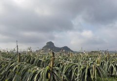 不断拓宽脱贫人口就业空间高质量推进脱贫人口稳岗就业